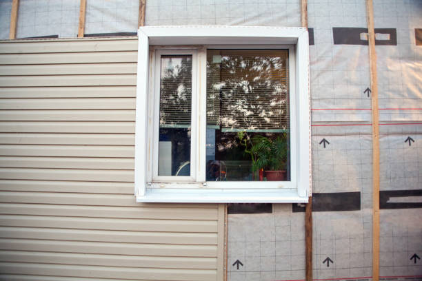 Best Vinyl Siding Installation  in La Presa, CA