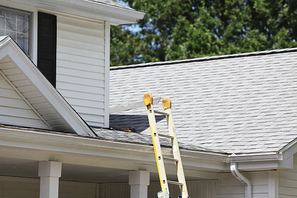 Best Steel Siding Installation  in La Presa, CA